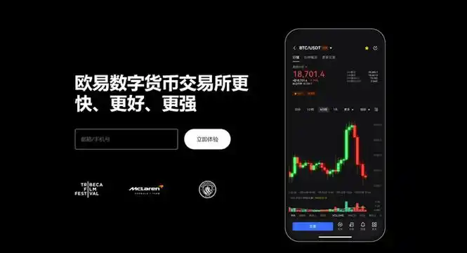 topay安卓版下载页面展示